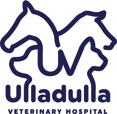 Ulladulla Veterinary