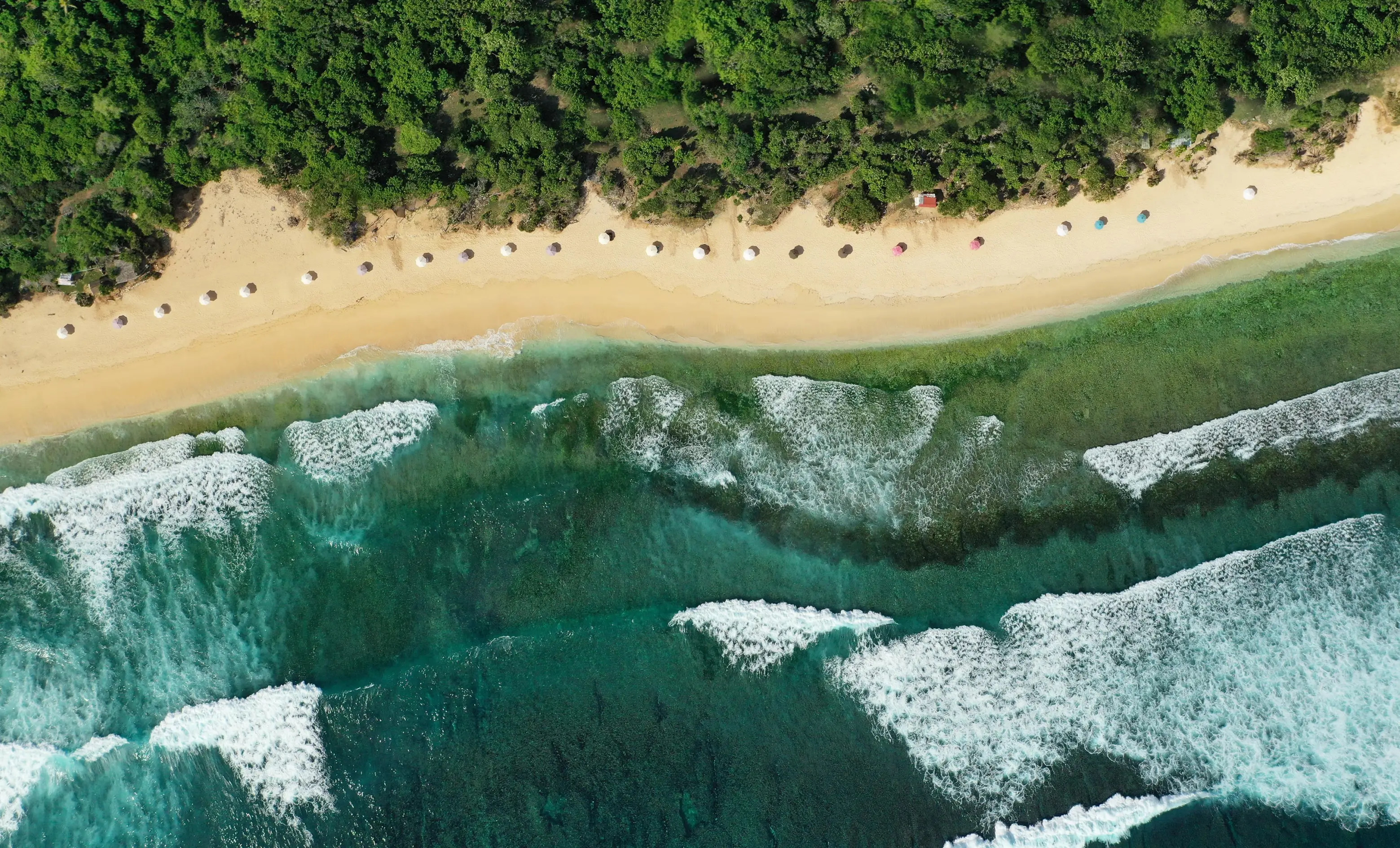 About Us